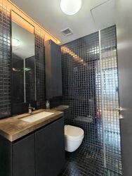 Skysuites@Anson (D2), Apartment #474209391